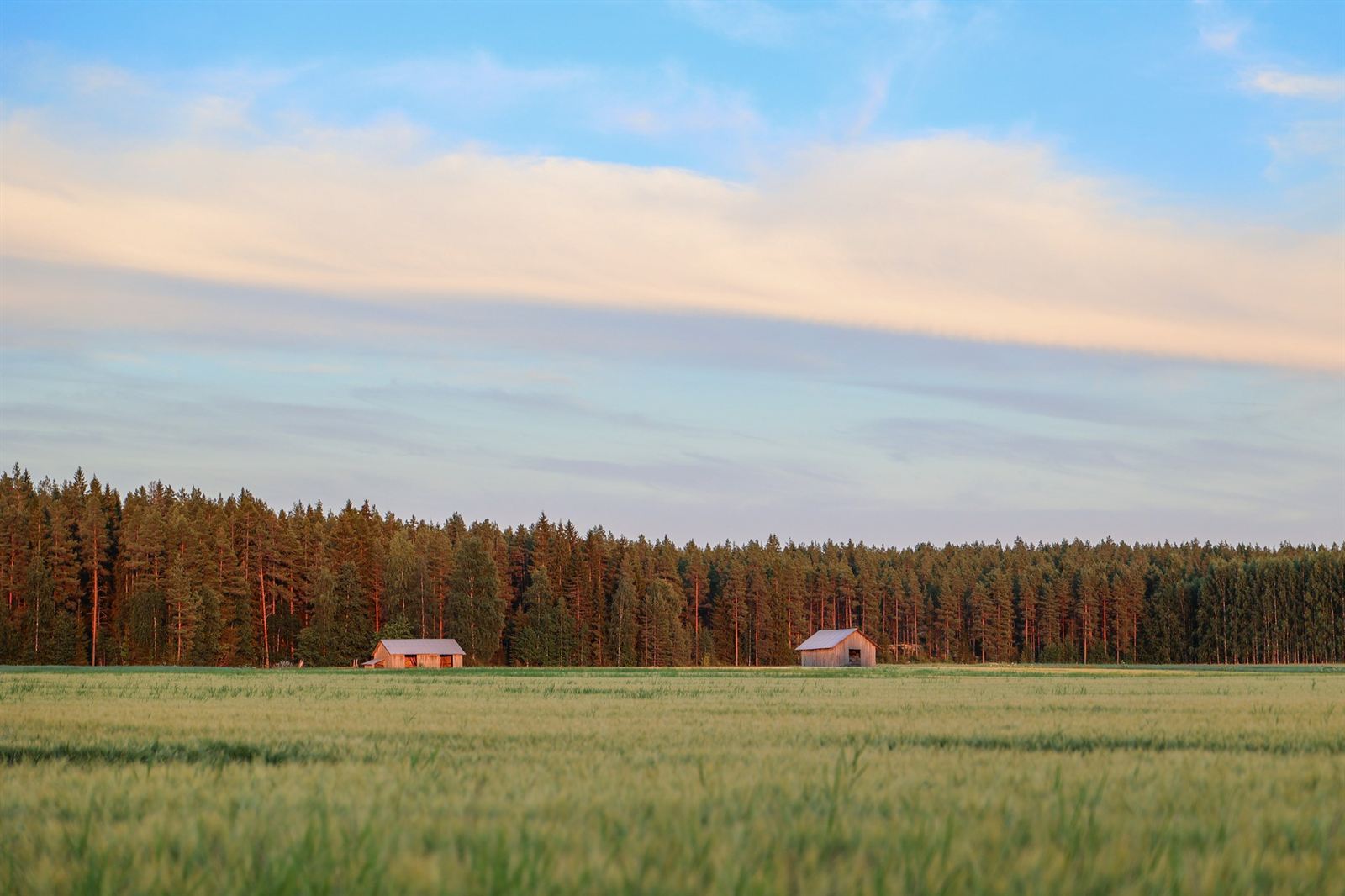 Pohjanmaan lakeutta