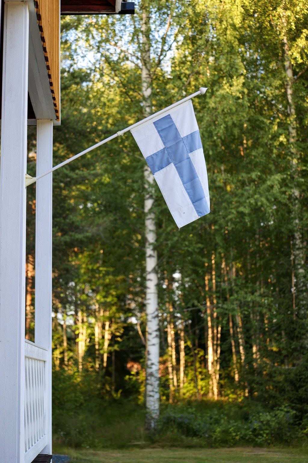 Suomen lippu salossa koivujen edessä